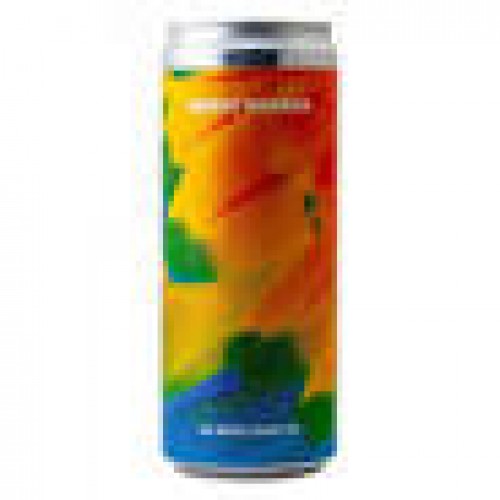 WEST COAST IPA - Parrot Invasion - Rebel's 30 cl